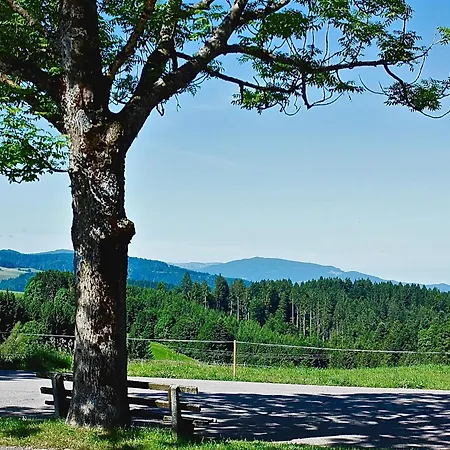 Rathaeusle * Titisee-Neustadt