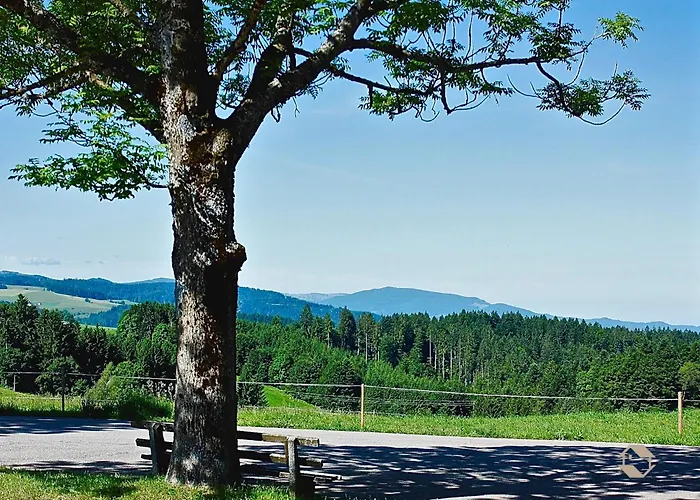 Rathaeusle * Titisee-Neustadt